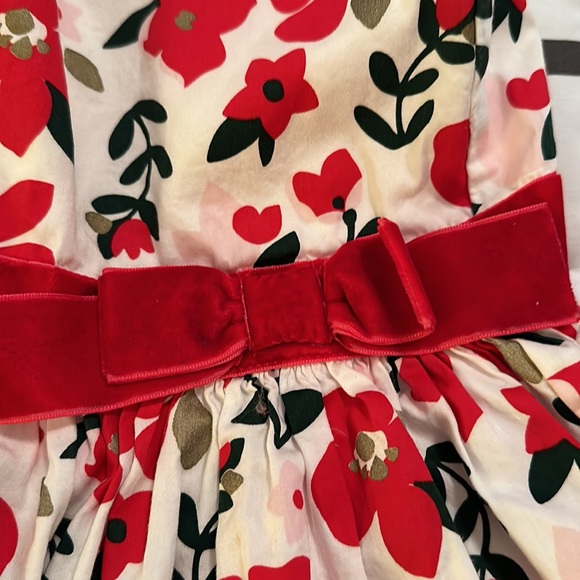 3T girl holiday dress by Carter’s - Picture 6 of 6